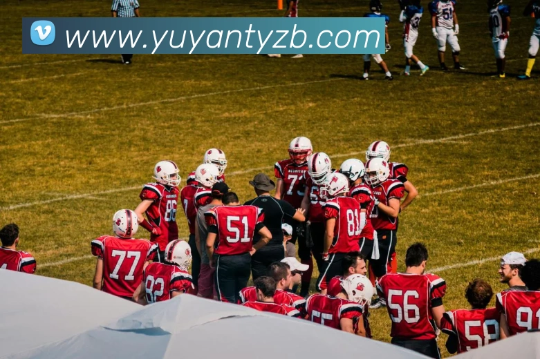 雨燕体育直播发展历程