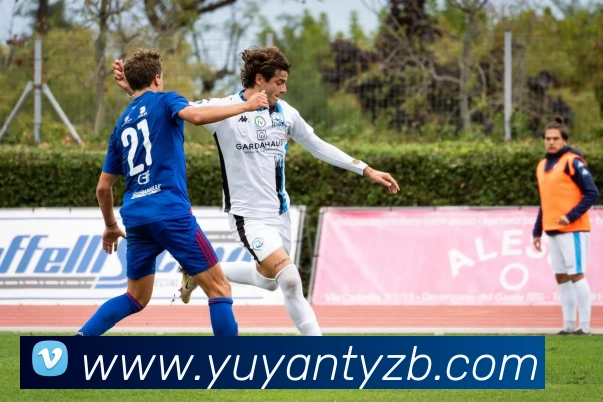 雨燕体育直播全站App